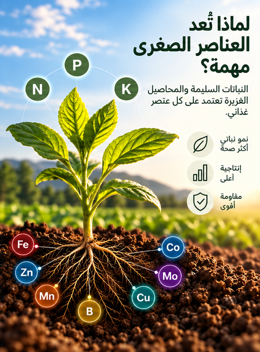 لماذا تُعد المغذيات الدقيقة مهمة؟