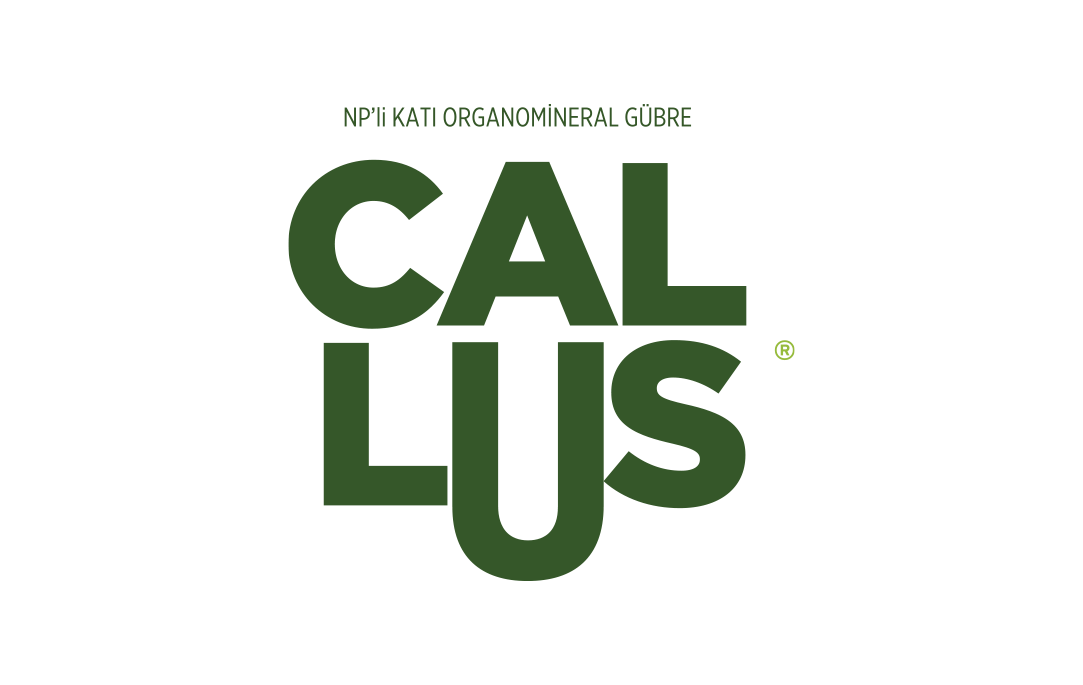 Callus