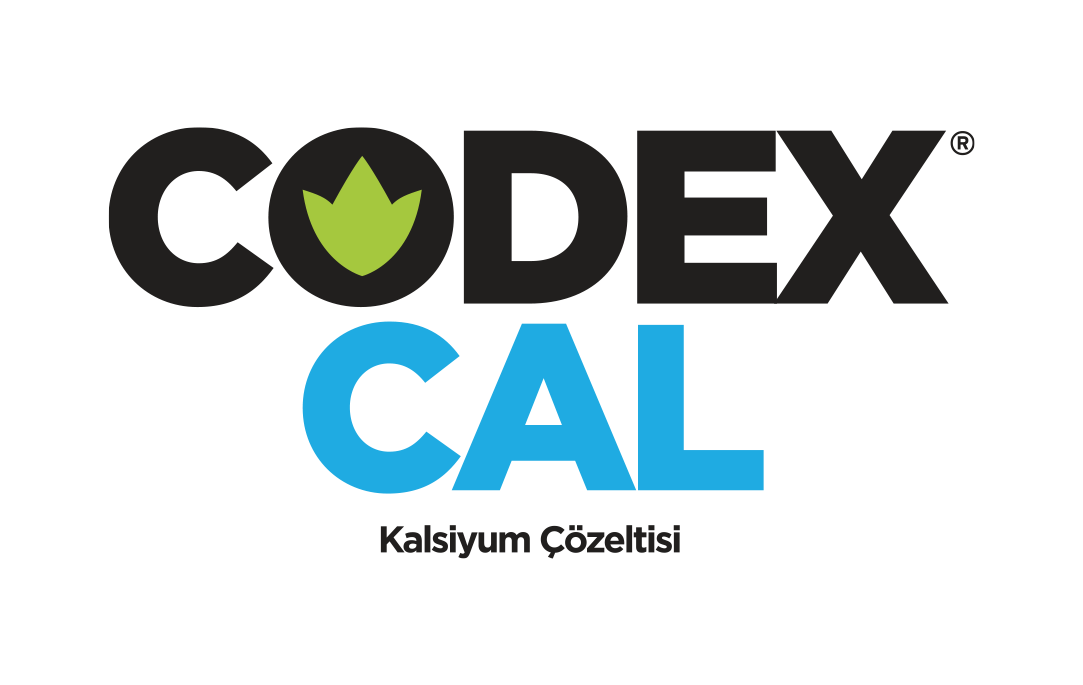 Codex Cal