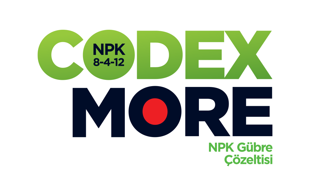 Codex More