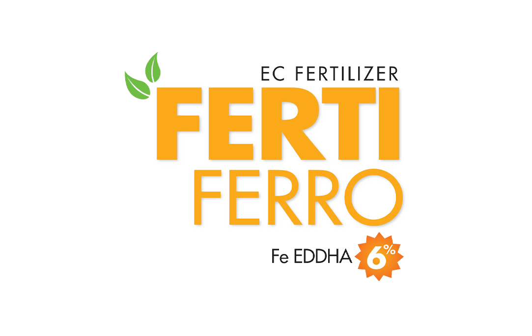 Ferti Ferro