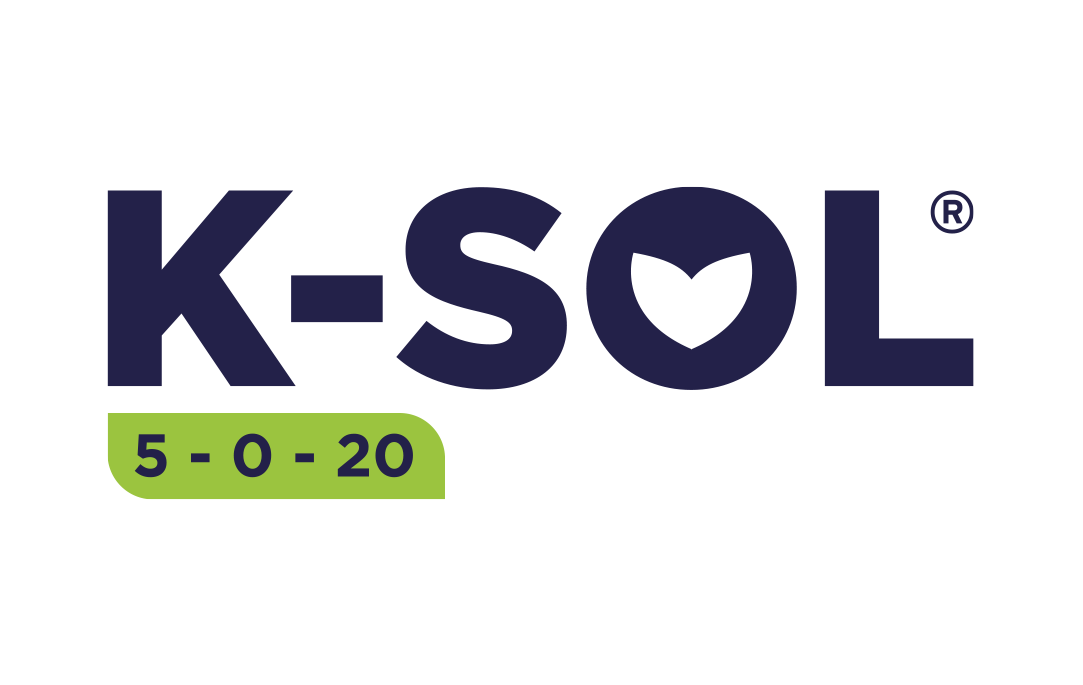 K-Sol
