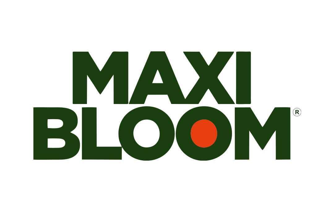 Maxi Bloom 20