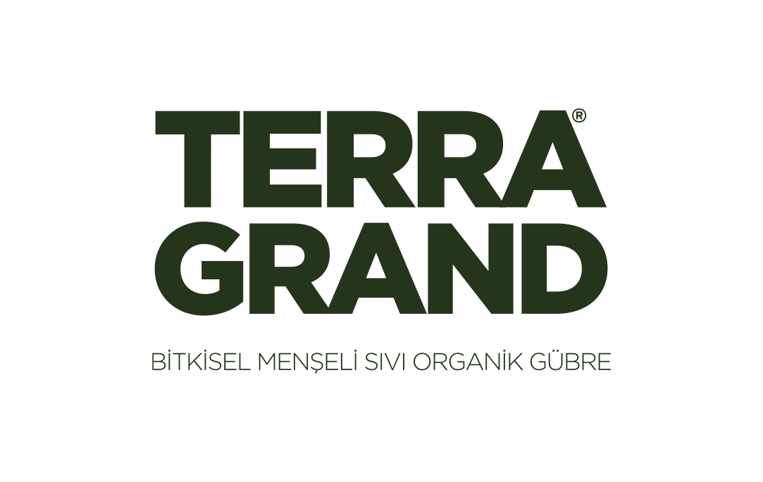 Terra Grand