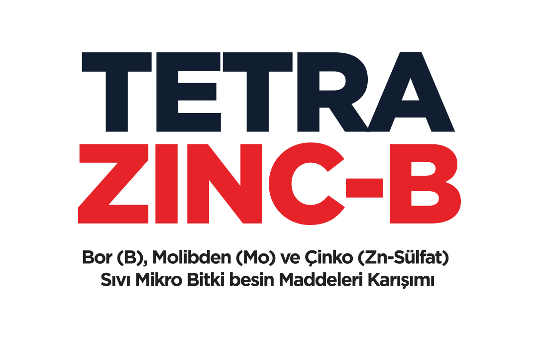 Tetra Zinc-B