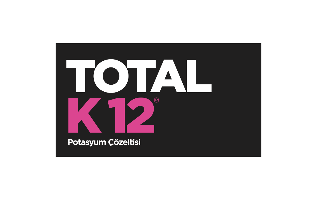 Total K12
