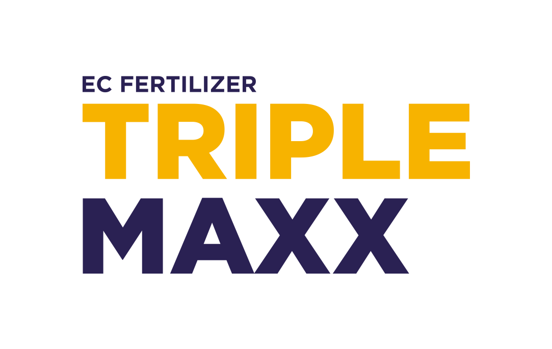 Triple maxx