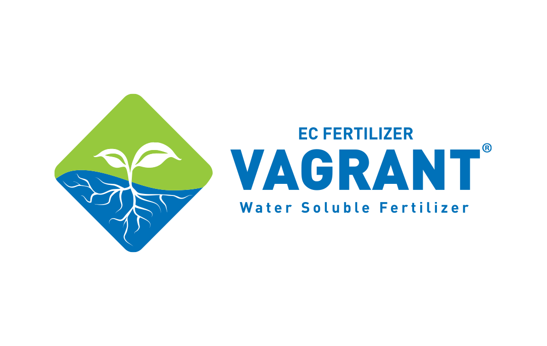 Vagrant