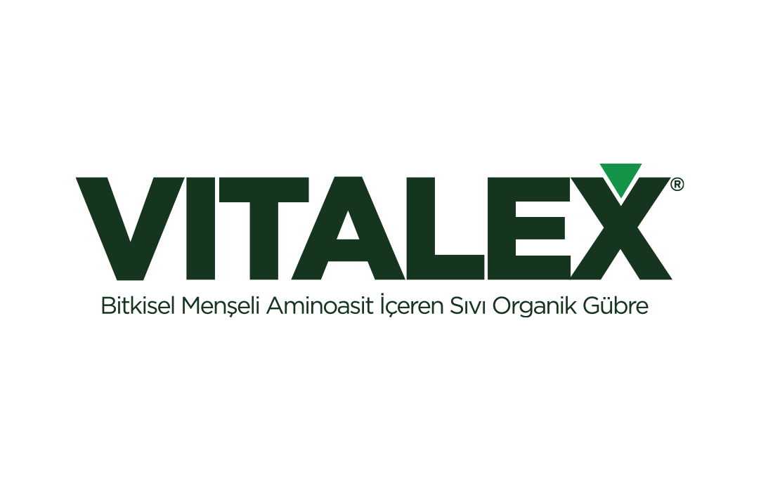 Seto Vitalex 18-0