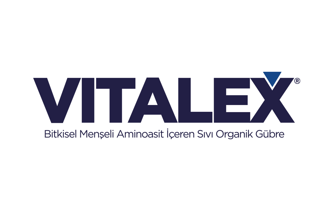 Seto Vitalex 4-0
