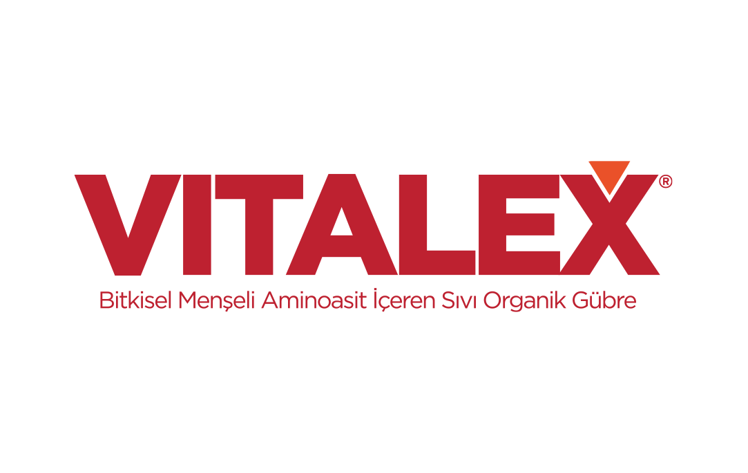 Seto Vitalex 8-0