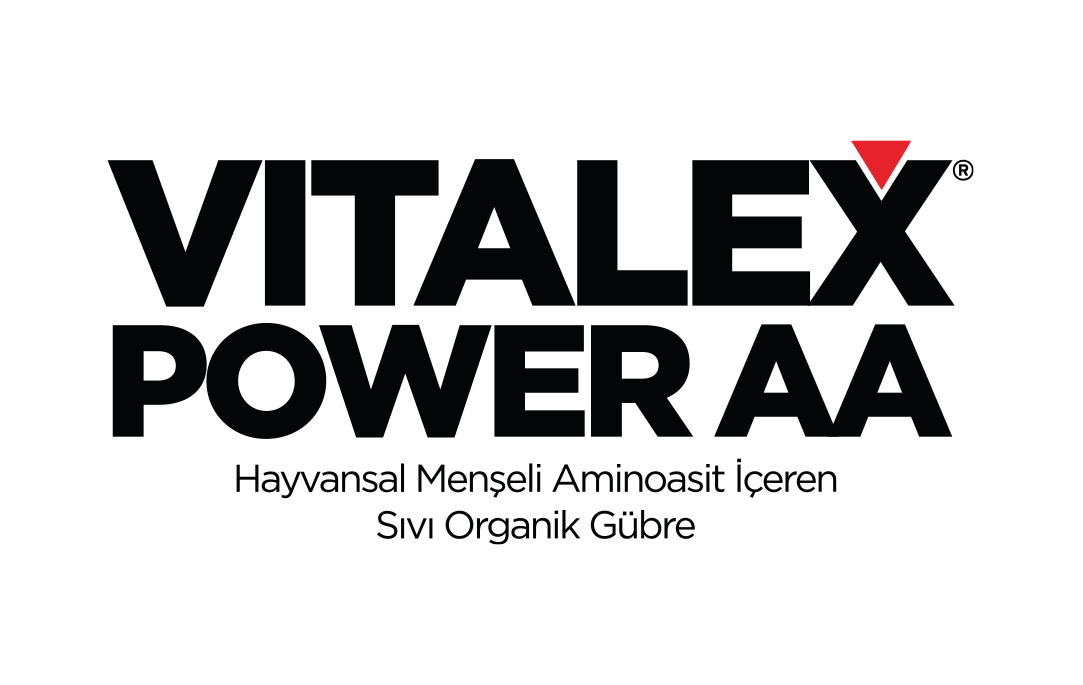 Seto Vitalex Power AA