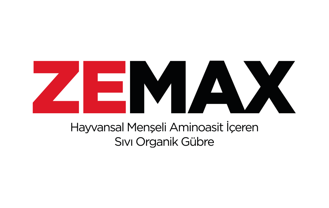 Seto Zemax